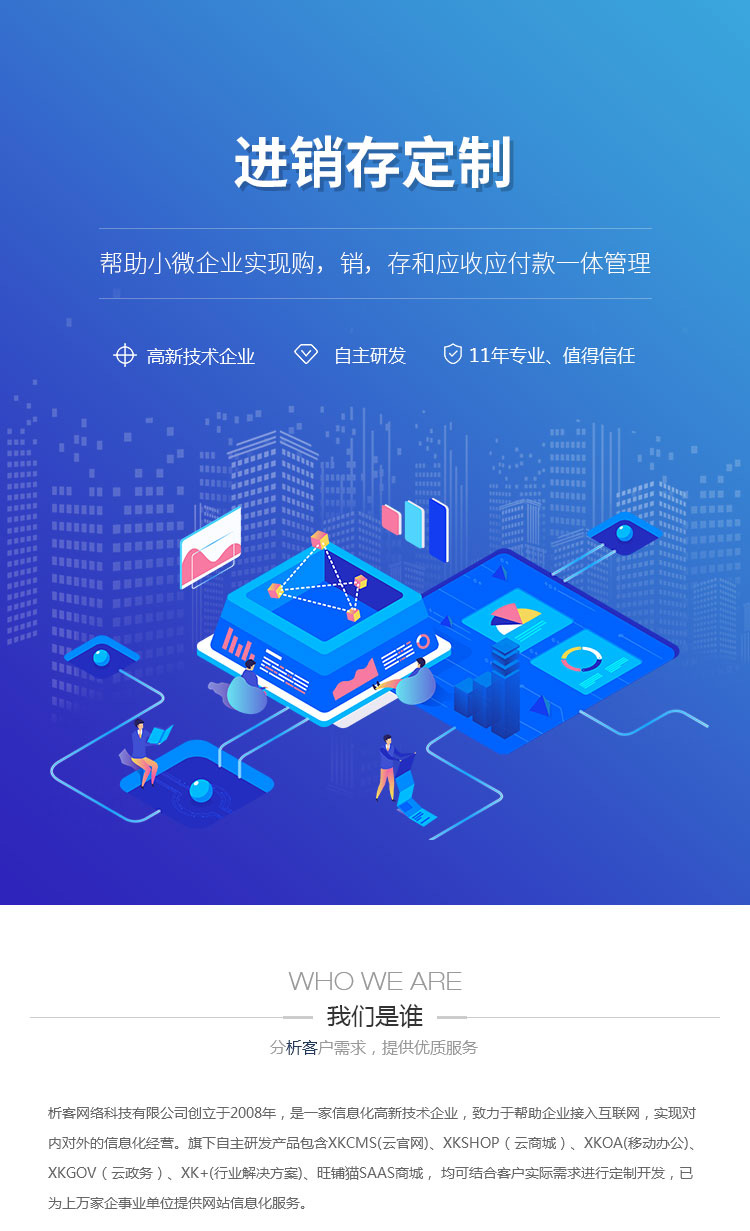 进销存系统开发：企业经营的智慧工具